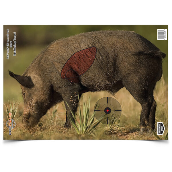 Image of a Feral Boar Hog paper target