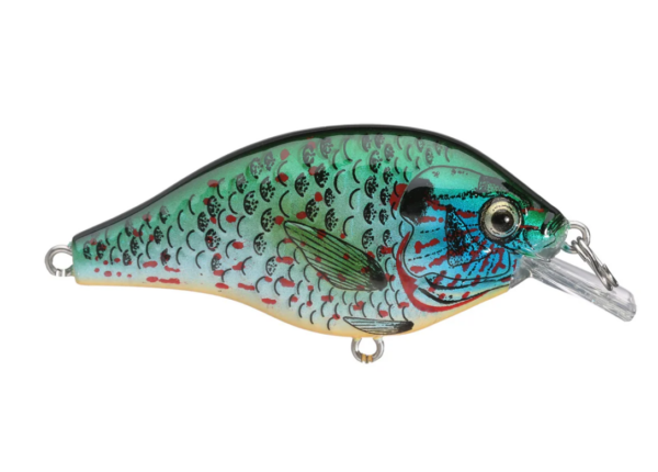 Rebel Bluegill Crankbait 3-Pk | Fire Tiger, Natural, And Albino - Image 6