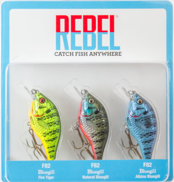 Rebel Bluegill Crankbait 3-Pk | Fire Tiger, Natural, And Albino