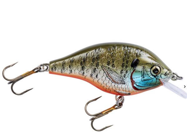 Rebel Bluegill Crankbait 3-Pk | Fire Tiger, Natural, And Albino - Image 2